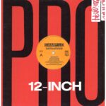 中古ﾚｺｰﾄﾞ CAMP LO - LUCHINI AKA (THIS IS IT) / SWING