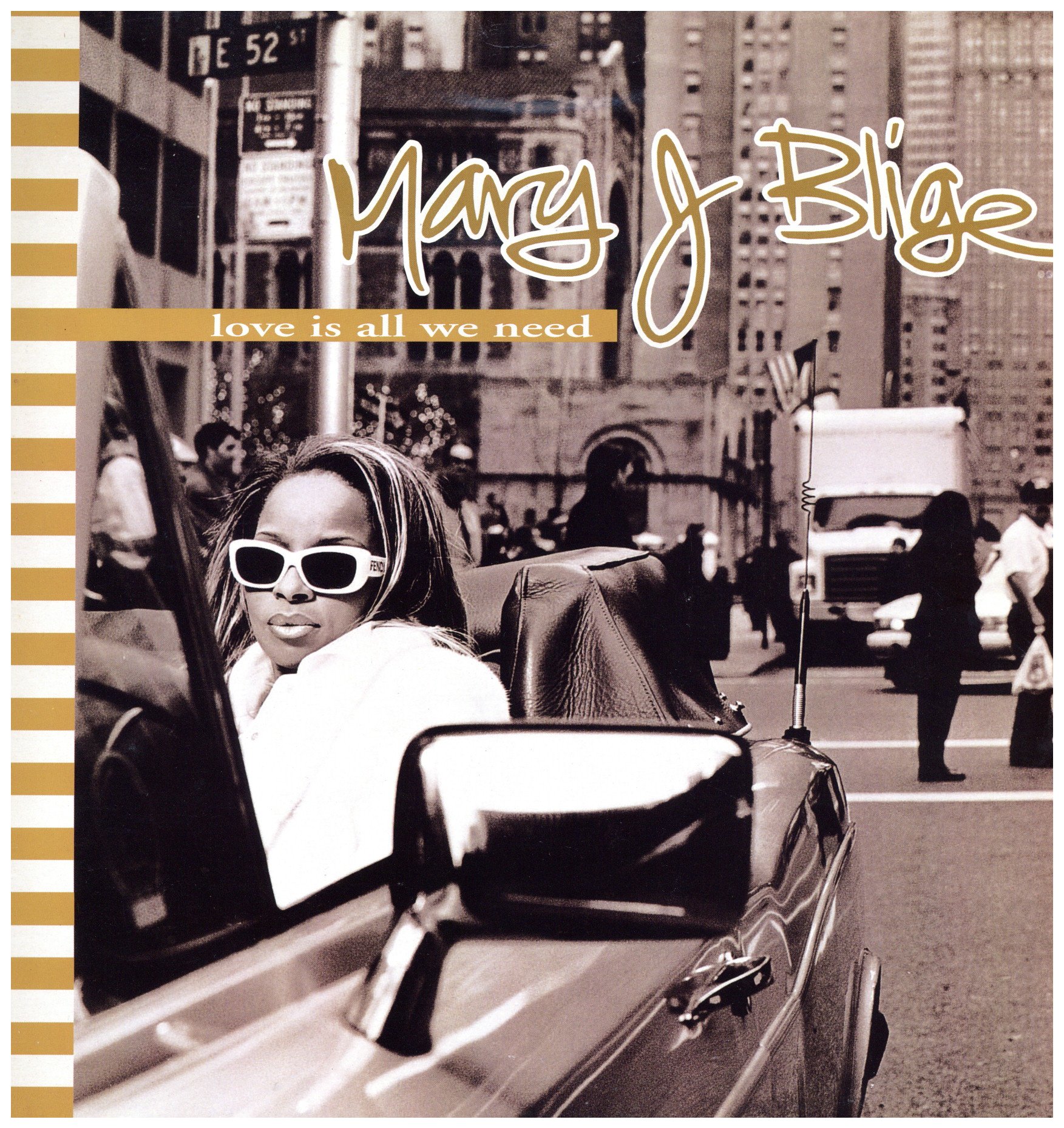 Mary J. Blige - Mary レコード MARY J. BLIGE / MARY (US-2LP) - SOURCE RECORDS (ソースレコード）
