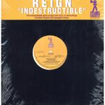 中古ﾚｺｰﾄﾞ REIGN - INDESTRUCTIBLE