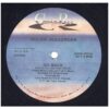 中古ﾚｺｰﾄﾞ GOLDIE ALEXANDER - SHOW YOU MY LOVE (Chaz Ro盤 Promo)