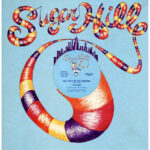 中古ﾚｺｰﾄﾞ ILLUSION - WHY CAN'T WE LIVE TOGETHER