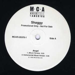 中古ﾚｺｰﾄﾞ SHAGGY - ANGEL