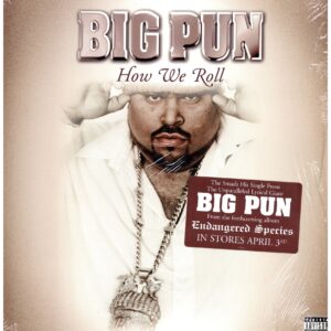 中古レコード BIG PUN - HOW WE ROLL