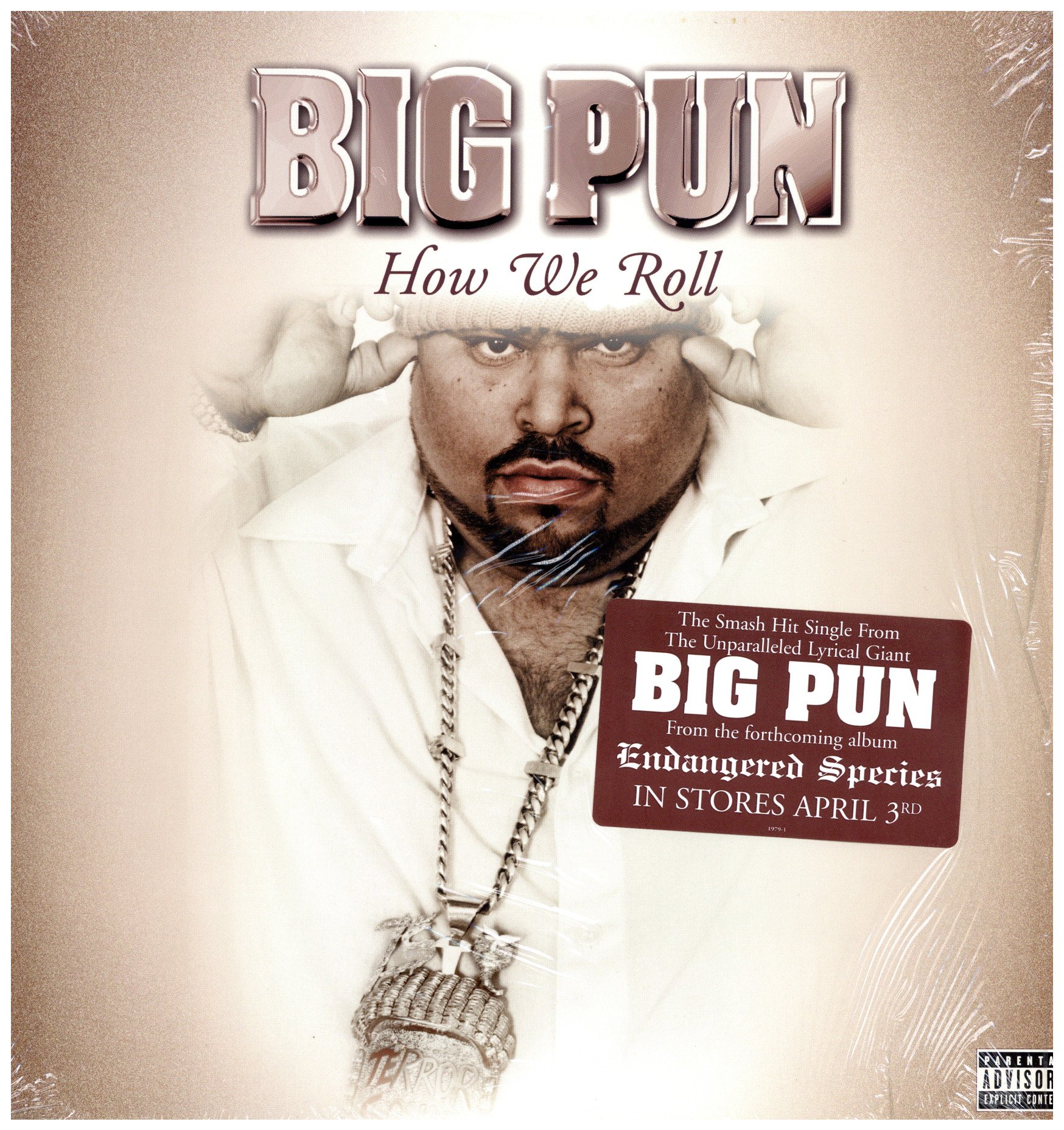 中古レコード BIG PUN - HOW WE ROLL