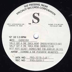中古レコード DIAMOND - SALLY GOT A ONE TRACK MIND / BEST KEPT SECRET (45 KING REMIX)