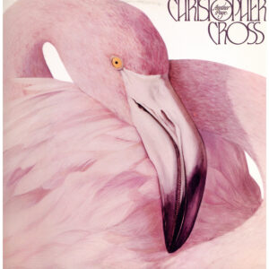 中古ﾚｺｰﾄﾞ CHRISTOPHER CROSS - ANOTHER PAGE