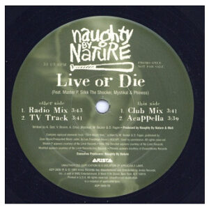 中古レコード NAUGHTY BY NATURE - LIVE OR DIE
