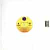 中古ﾚｺｰﾄﾞ ICE-T & ICE CUBE - TRESPASS