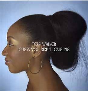 新品ﾚｺｰﾄﾞ TERRI WALKER - GUESS YOU DIDN'T LOVE ME (UK)