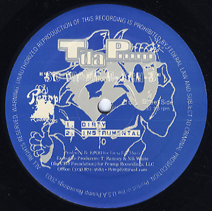 新品レコード T DA P...... - ALL THESE GIRLS / SO MANY BITCHES
