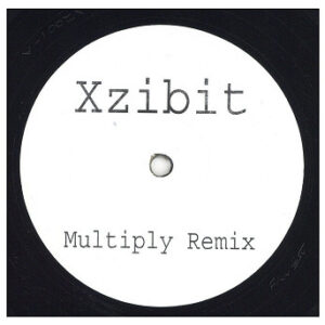 中古レコード XZIBIT - MULTIPLY (REMIX) (WHITE LABEL)