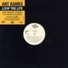 中古ﾚｺｰﾄﾞ ANT BANKS - LIVIN'THE LIFE / PACKIN' A GUN