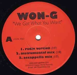 新品ﾚｺｰﾄﾞ WON-G - WE GOT WHAT YOU WANT / IF YA WANNA RIDE