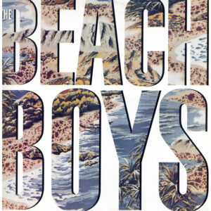 中古ﾚｺｰﾄﾞ THE BEACH BOYS - THE BEACH BOYS