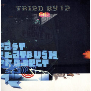 中古ﾚｺｰﾄﾞ EAST FLATBUSH PROJECT - TRIED BY 12 (REMIXES)