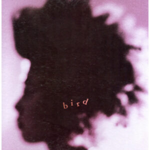 中古ﾚｺｰﾄﾞ BIRD - BIRD LIMITED BOX